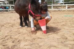 pony autismo