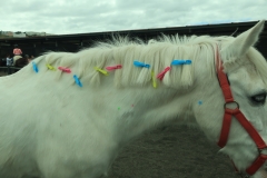 caballo