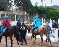 voluntarios alma6